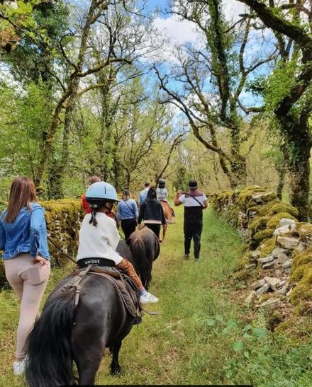 Gites Sur Le Causse De St Chels, Charme Sport Et Detente Saint-Chels Zewnętrze zdjęcie